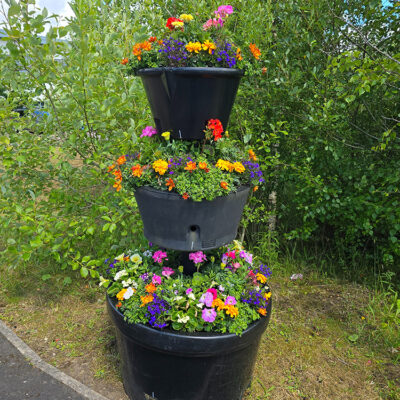 Planter With Grass