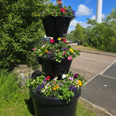 Planter With Path